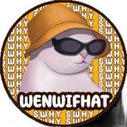 WenWifHat crypto logo