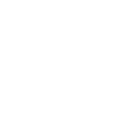 WPAY crypto logo